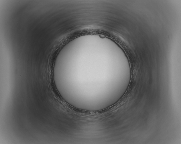 X0000112081062200908041006