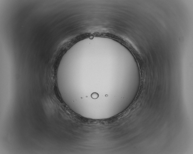 X0000112081063200908041006