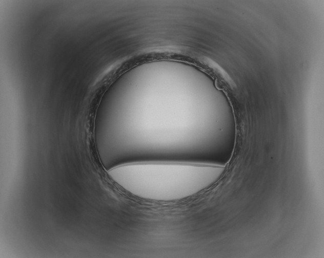 X0000112081064200908041006