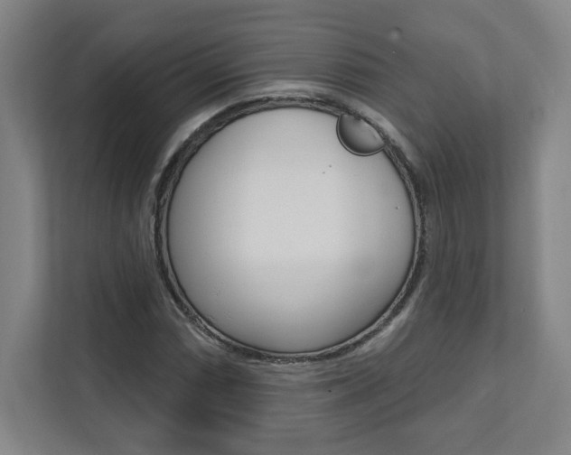 X0000112081066200908041006