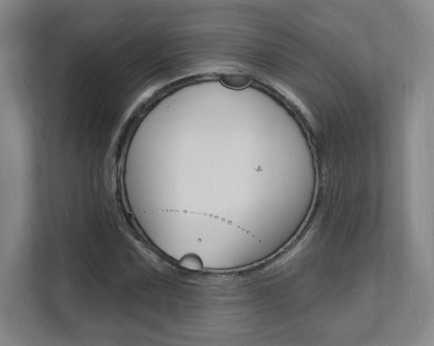X0000112081067200908041006