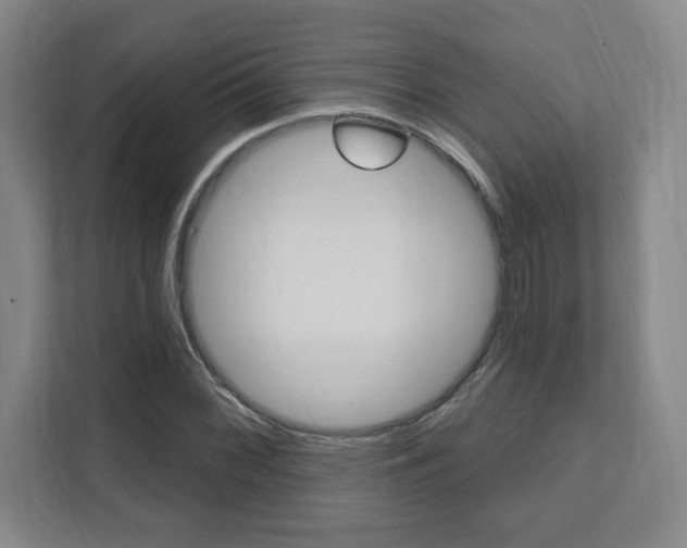 X0000112081068200908041006