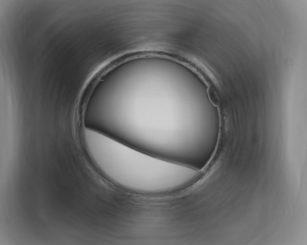 X0000112081069200908041006