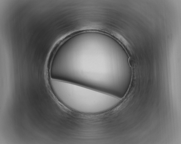 X0000112081072200908041006