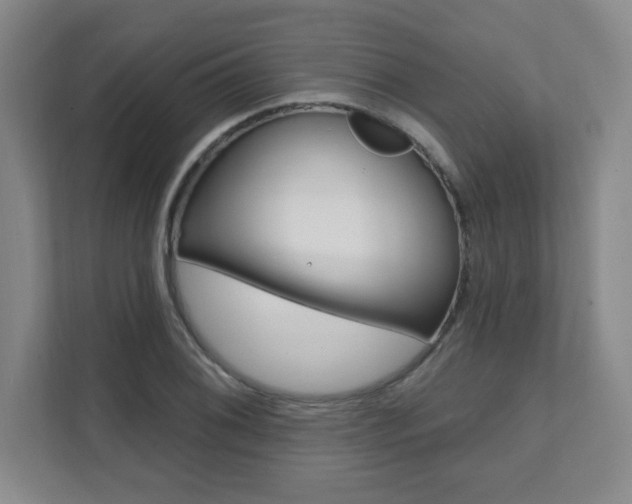 X0000112081076200908041006
