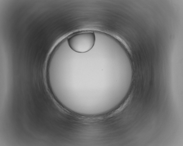 X0000112081077200908041006
