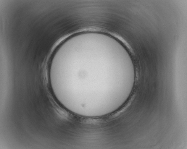 X0000112081078200908041006