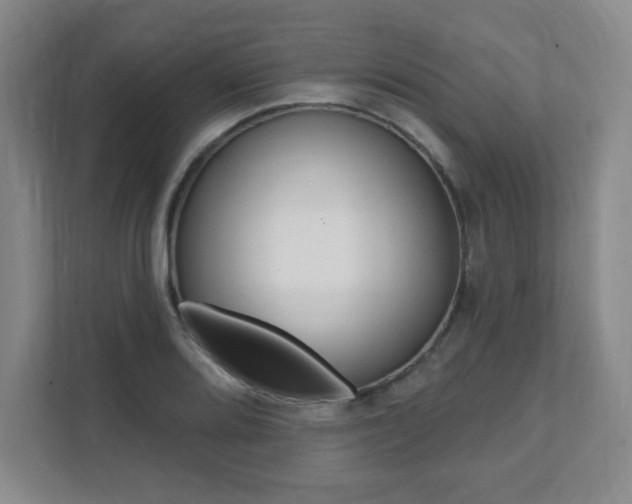 X0000112081080200908041006