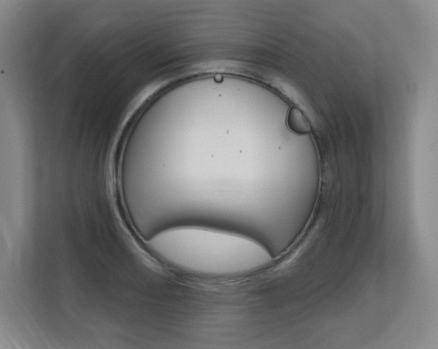 X0000112081082200908041006