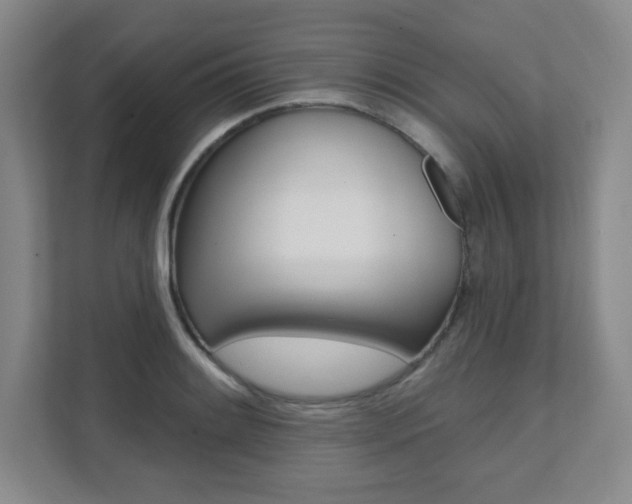 X0000112081084200908041006