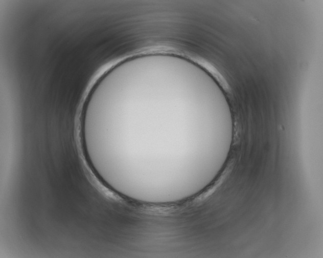 X0000112081086200908041006
