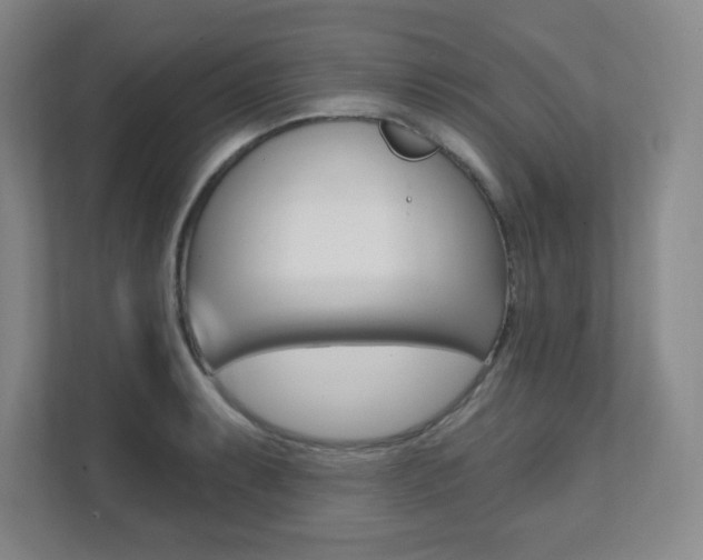 X0000112081087200908041006