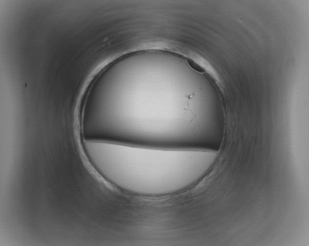 X0000112081088200908041006