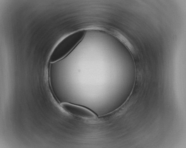 X0000112081092200908041006