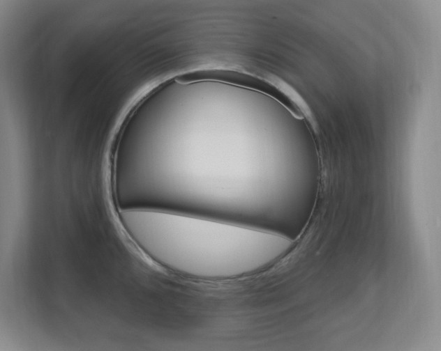 X0000112081096200908041006