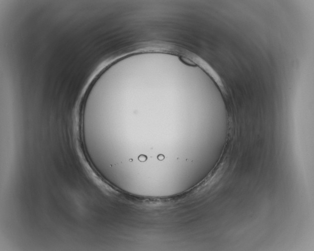 X0000112081099200908041005