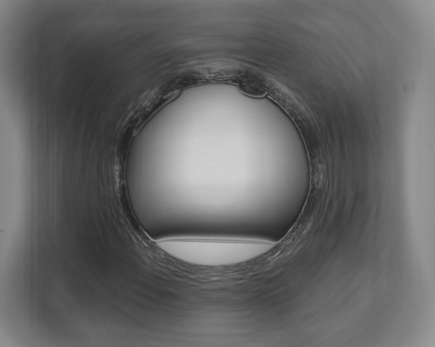 X0000112081108200908041005