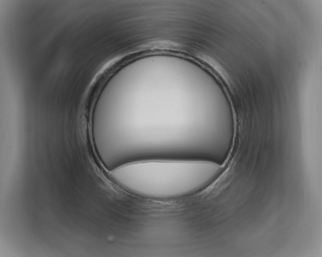 X0000112081115200908041005