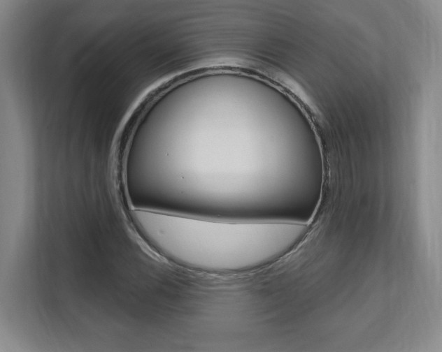 X0000112081116200908041005