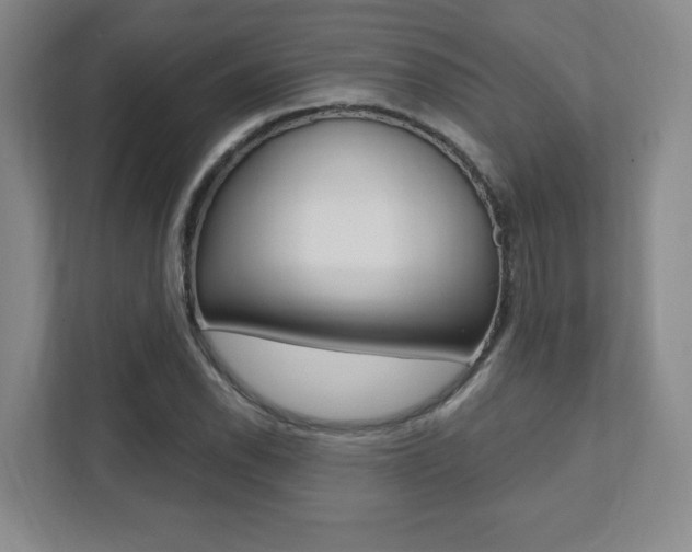 X0000112081118200908041005