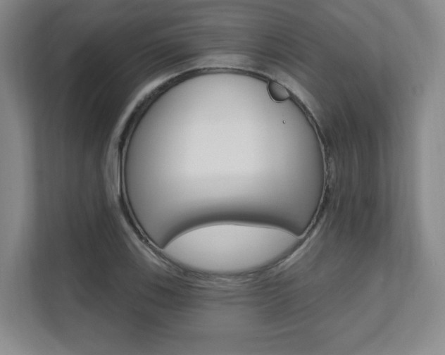 X0000112081123200908041005