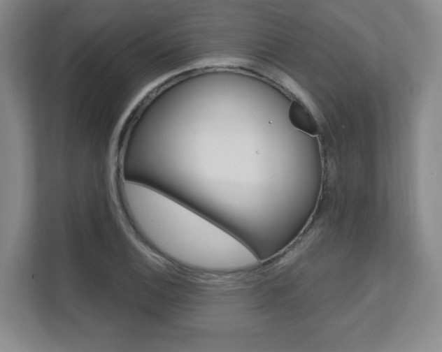 X0000112081124200908041005