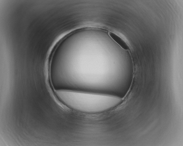 X0000112081128200908041005