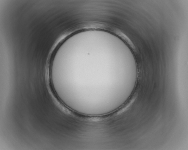 X0000112081130200908041005