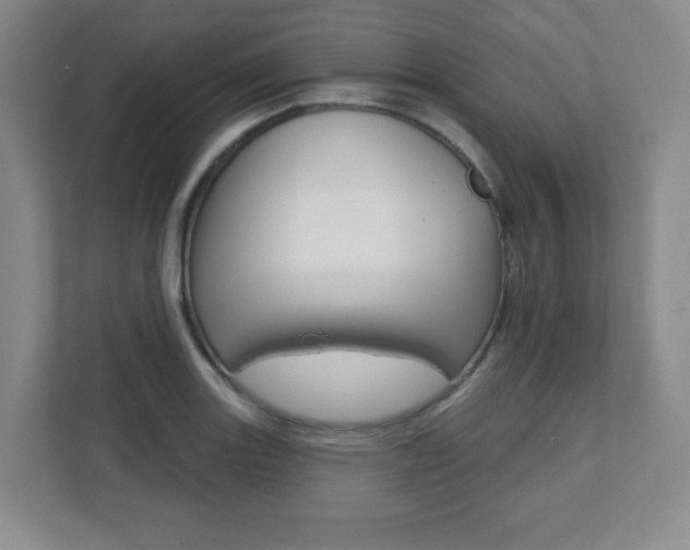 X0000112081131200908041005