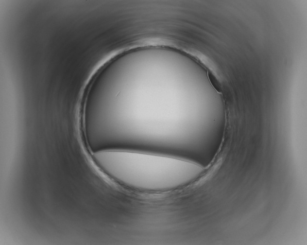X0000112081134200908041005