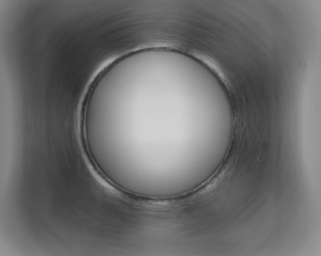 X0000112081135200908041005