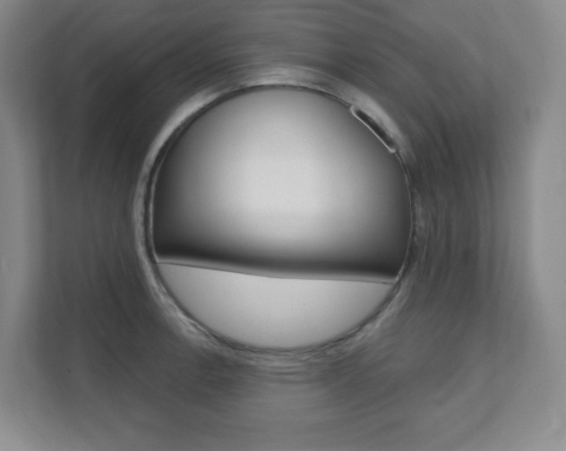 X0000112081138200908041005
