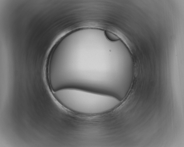 X0000112081139200908041005
