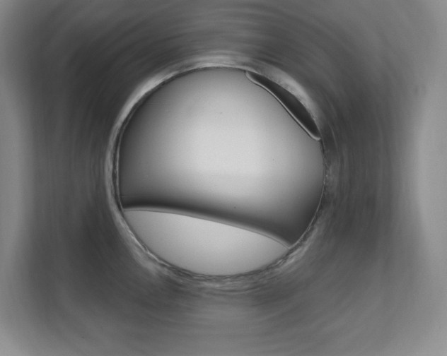 X0000112081146200908041005