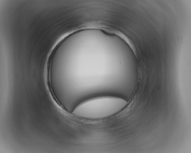 X0000112081147200908041005