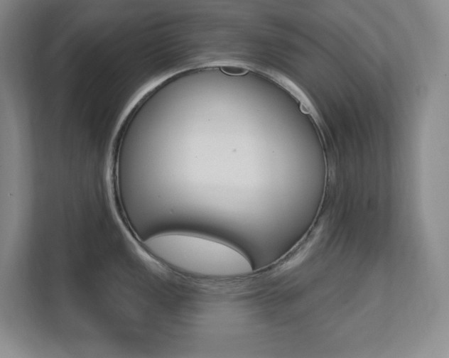 X0000112081149200908041005