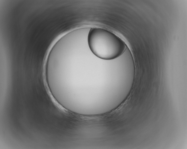 X0000112081152200908041005