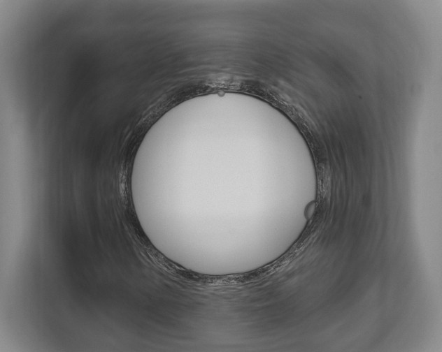 X0000112081154200908041005