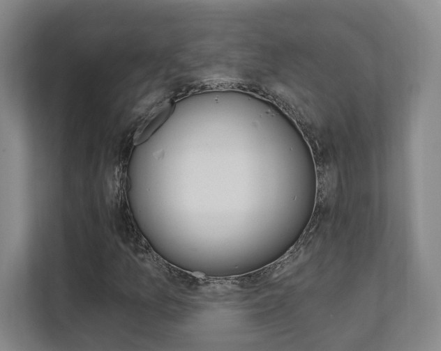 X0000112081157200908041005