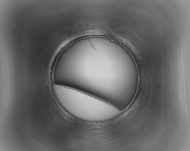 X0000112081168200908041005