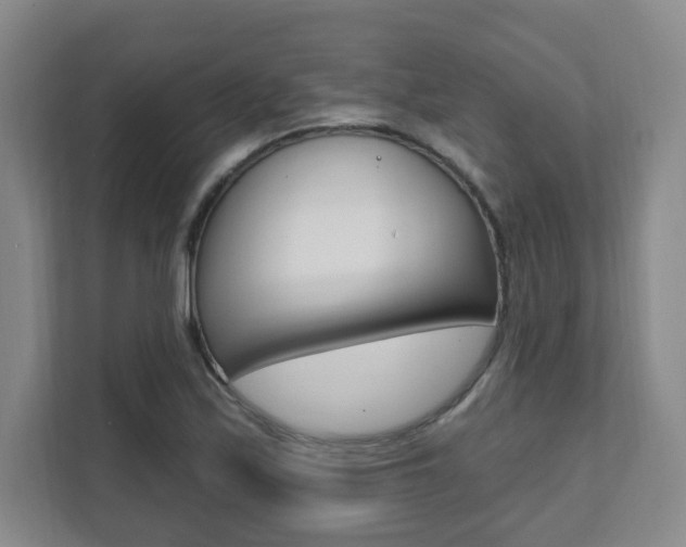 X0000112081171200908041005