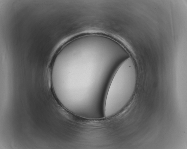 X0000112081175200908041004