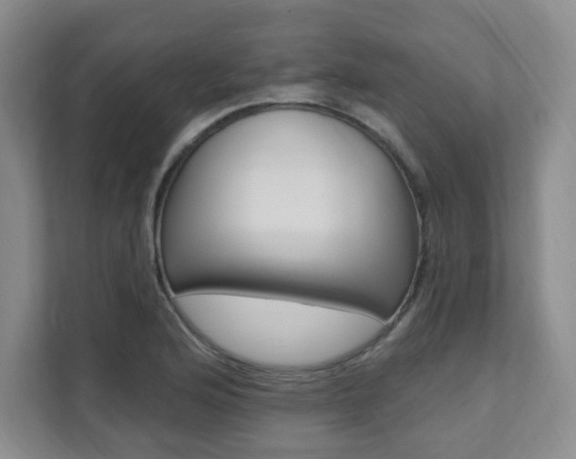 X0000112081176200908041004