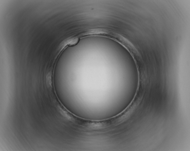 X0000112081177200908041004