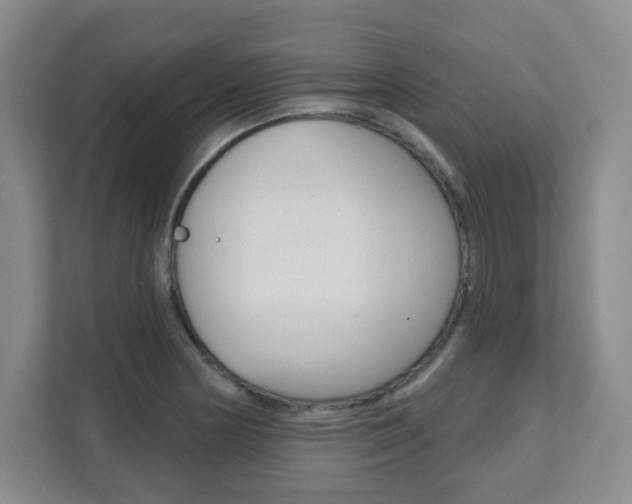 X0000112081178200908041004