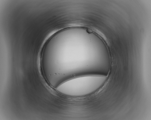 X0000112081179200908041004