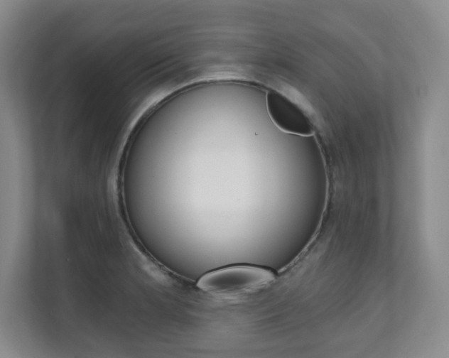 X0000112081181200908041004