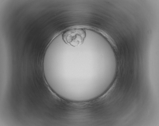 X0000112081185200908041004