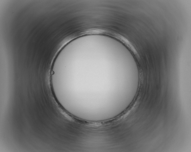 X0000112081186200908041004