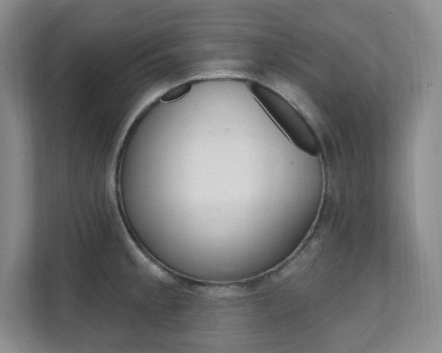 X0000112081189200908041004